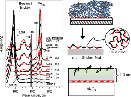 Robust, functionalizable, nanometer-thick poly(acrylic acid) films spontaneously assembled on oxidized aluminum substrates: Structures and chemical properties, Langmuir, 2011, 27, 7, 3638–3653