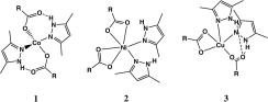 Mononuclear transition metal complexes with sterically hindered carboxylate ligands: Synthesis, structural and spectral properties, Polyhedron, 2011, 30, 2, 340–346