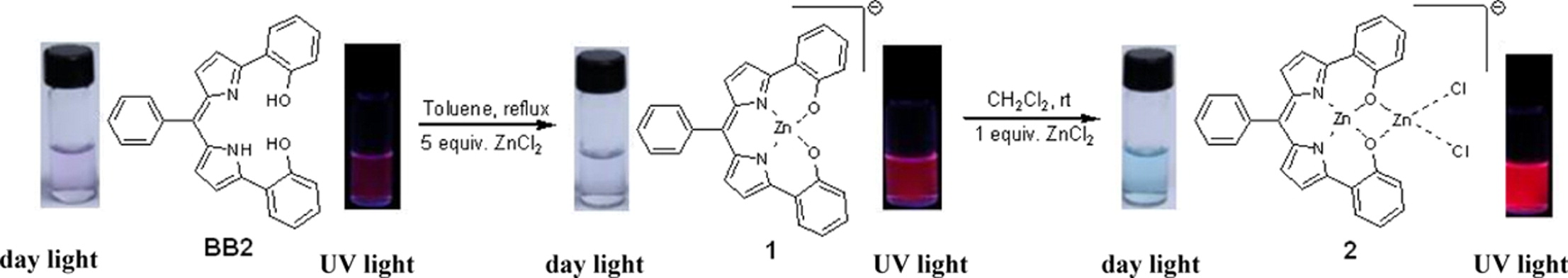 Fluorescence enhancement of N 2O 2-type dipyrrin ligand in two step responding to zinc(II) ion, Journal of Luminescence, 2012, 132, 11, 3089–3092