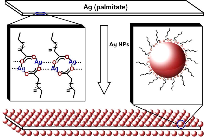 Assembling Ag nanoparticles into morphology controlled secondary structures on loosely packed self-assembled monolayers, Journal of Colloid and Interface Science, 2013, 394, 1, 639–642