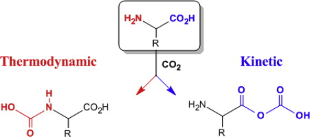 Evaluating the CO2-capturing efficacy of amine and carboxylic acid motifs: Ab initio studies on thermodynamic versus kinetic properties, Tetrahedron, 2013, 69, 32, 6693–6697