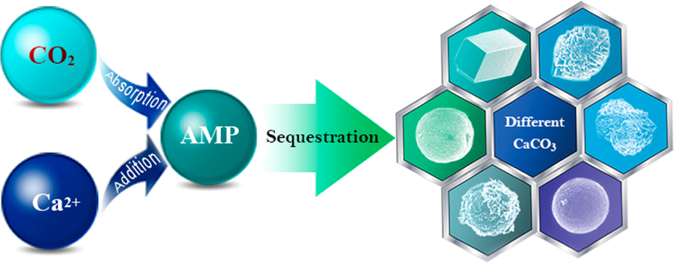 CO2 absorption and sequestration as various polymorphs of CaCO3 using sterically hindered amine, Langmuir, 2013, 29, 50, 15655–15663