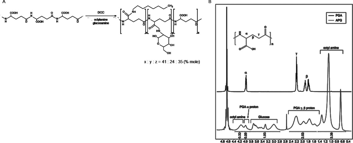 An amphipathic polypeptide derived from poly-γ-glutamic acid for the stabilization of membrane proteins, Protein Science, 2014, 23, 12, 1800–1807