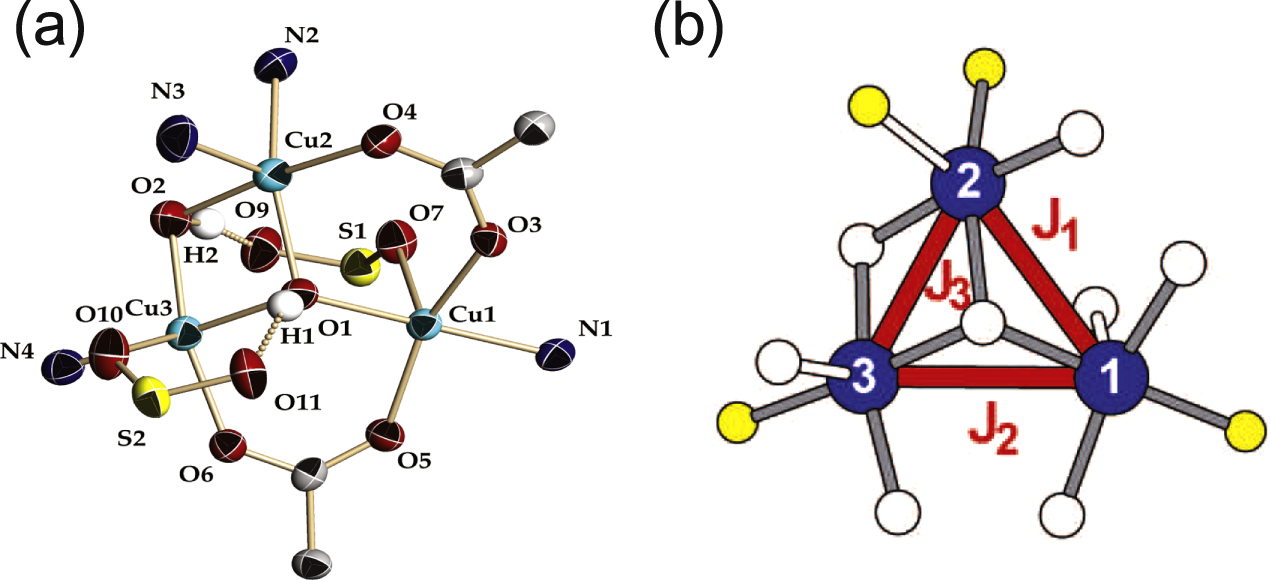 Spin decoherence processes in the S = 1/2 scalene triangular cluster (Cu3(OH)), New Journal of Physics, 2015, 17, 33042