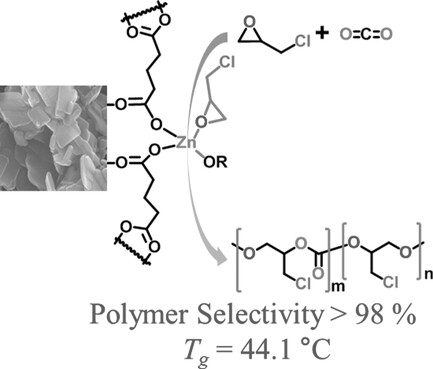 Copolymerization of Epichlorohydrin and CO2 Using Zinc Glutarate: An Additional Application of ZnGA in Polycarbonate Synthesis, Macromolecular Rapid Communications, 2016, 37, 9, 788–793