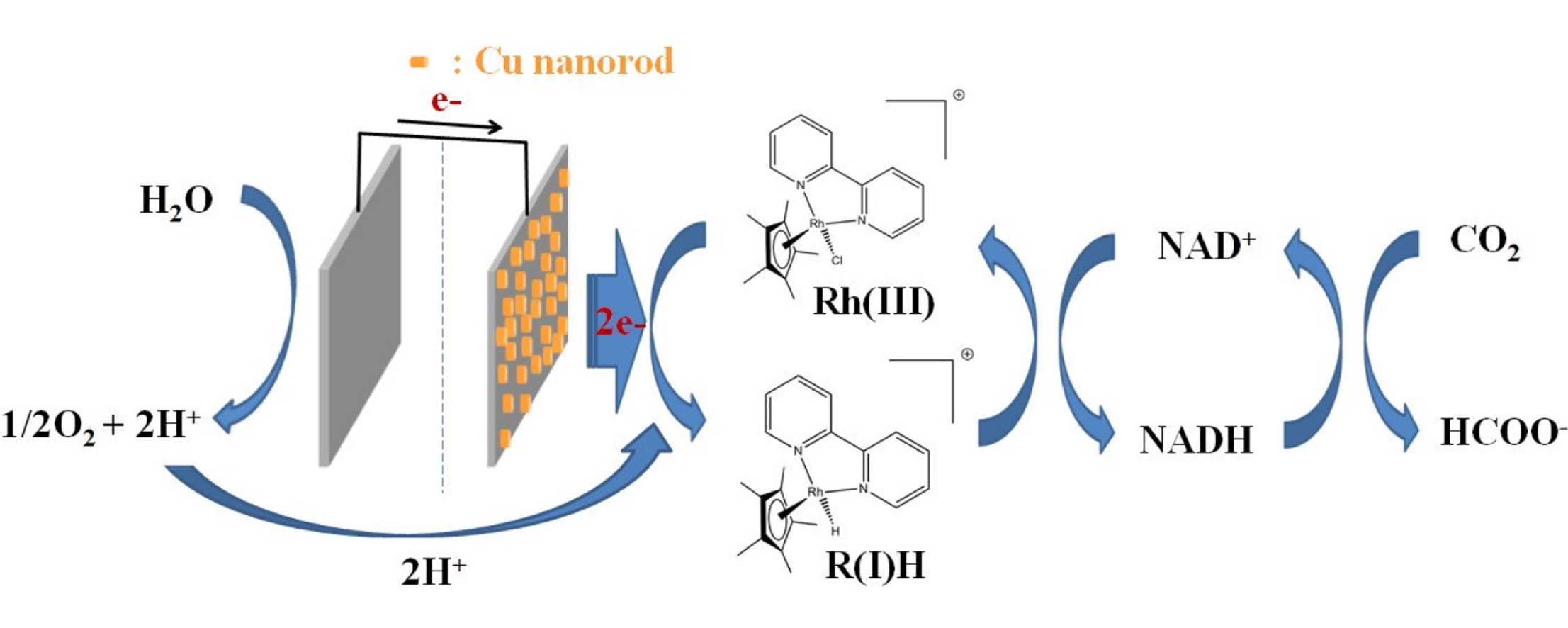 Electrochemical NADH regeneration and electroenzymatic CO2 reduction on Cu nanorods/glassy carbon electrode prepared by cyclic deposition, Electrochimica Acta, 2016, 210, 837–845