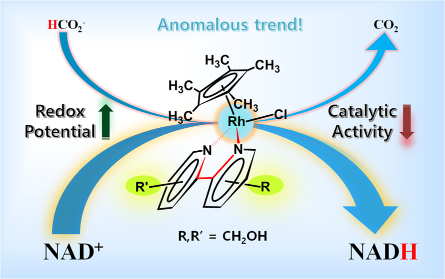 Correlation between the Structure and Catalytic Activity of [Cp*Rh(Substituted Bipyridine)] Complexes for NADH Regeneration, Inorganic Chemistry, 2017, 56, 3, 1366–1374