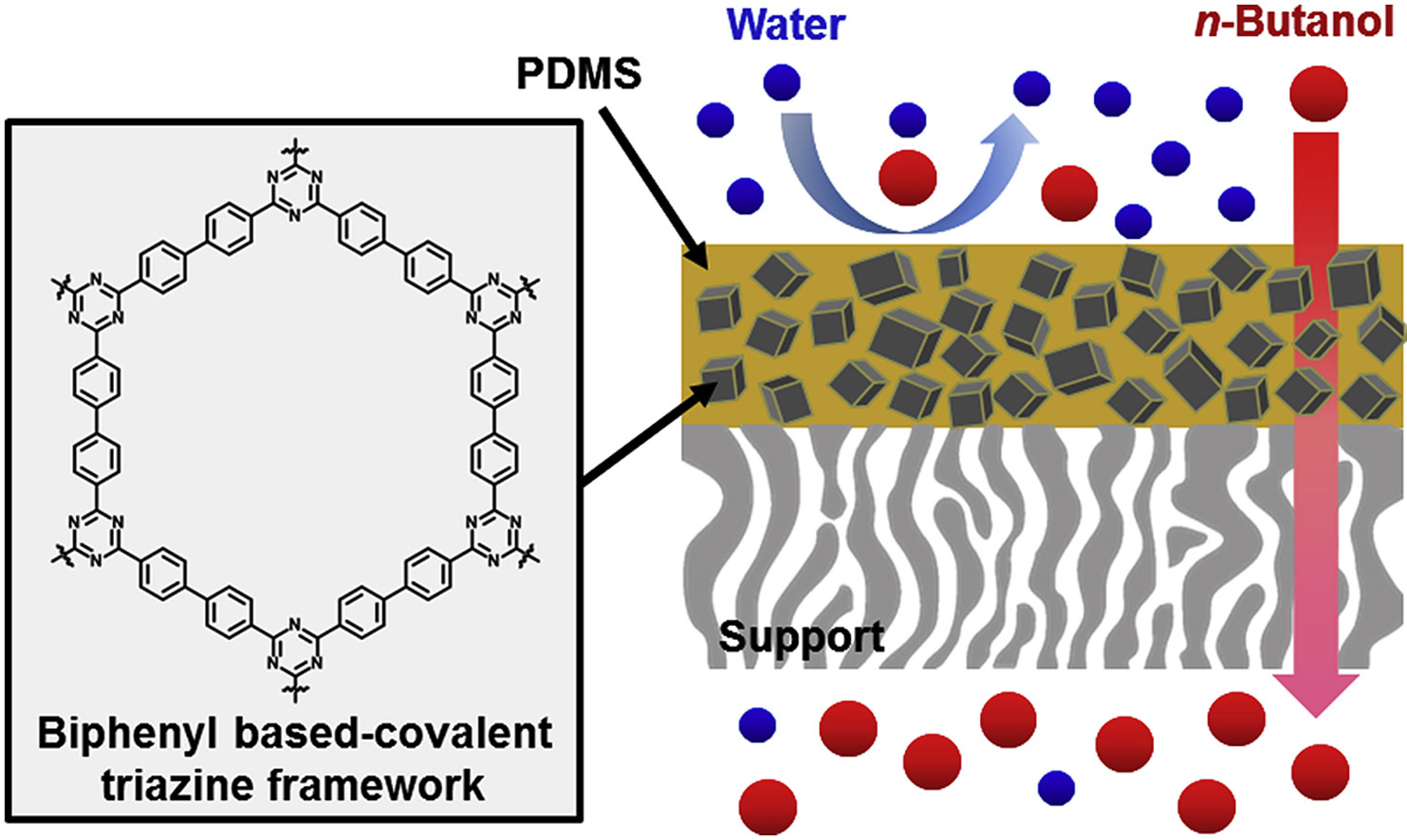 Biphenyl-based covalent triazine framework-incorporated polydimethylsiloxane membranes with high pervaporation performance for n-butanol recovery, Journal of Membrane Science, 2020, 598, 117654