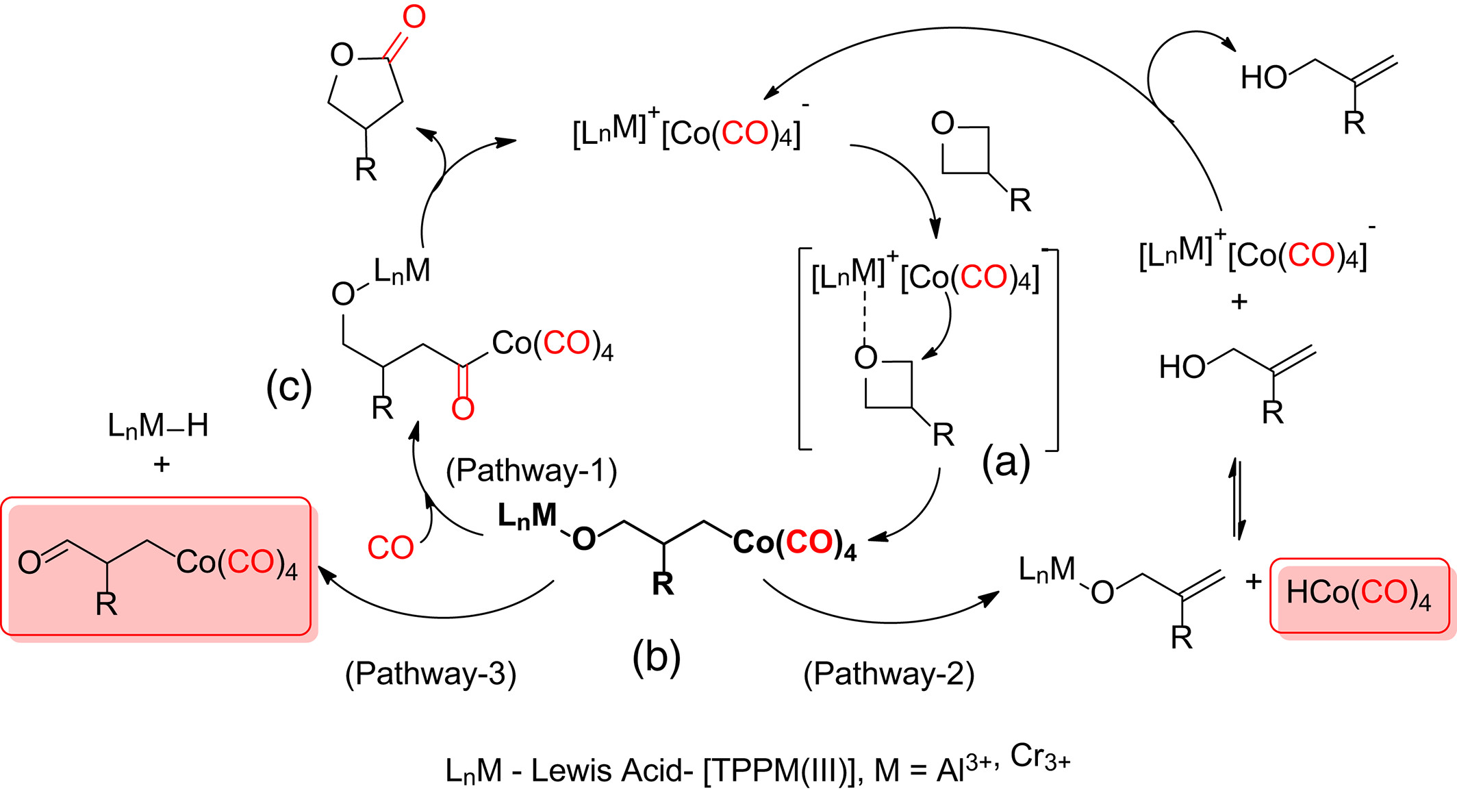 Carbonylative ring expansion of oxetane into γ-butyrolactone using bimetallic cobaltate catalysts: Insight into the deactivation mechanism, Bulletin of the Korean Chemical Society, 2023, 44, 12, 1049–1055