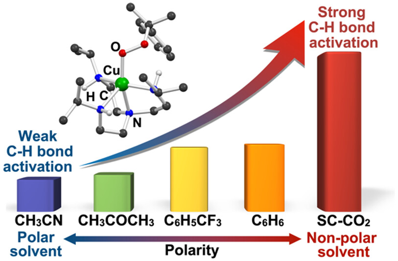 Influence of Solvents on Catalytic C-H Bond Oxidation by a Copper(II)-Alkylperoxo Complex, ACS Catalysis, 2024, 14, 5, 3524–3532