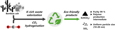Simultaneous utilization of CO2 and potassium-rich biomass for the environmentally friendly production of potassium formate, <i>RSC Advances</i>, <b>2025</b>, <i>15</i>, 1, 348–356