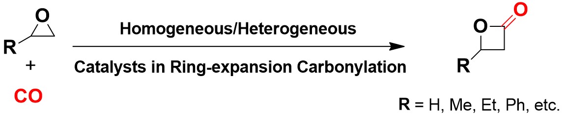 Advances in Catalyst Design for β-Lactone Formation via Ring-Expansion Carbonylation, Molecules, 2025, 30, 1399