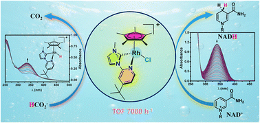 Aqueous-phase NADH regeneration using Rh(N-heterocyclic carbene) catalyst with enhanced hydride kinetics, <i>Inorganic Chemistry Frontiers</i>, <b>2026</b>, <i>13</i>, 680–689