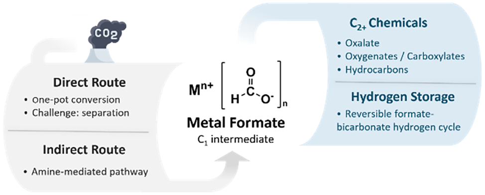 Metal formates from CO2 conversion: inorganic catalysts and integrated pathways toward chemical valorization, Inorganic Chemistry Frontiers, 2026, online published