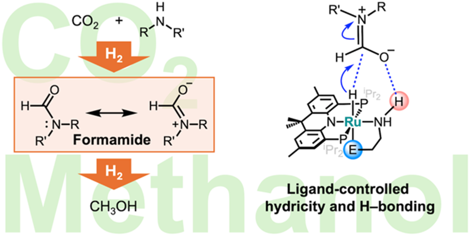 Amine-containing Ru catalysts for CO 2 and formamide hydrogenation, Catalysis Science &amp; Technology, 2026, 16, 20, 6721–6725